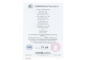 YE2-高效3C認證書